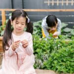 SEN teacher training courses